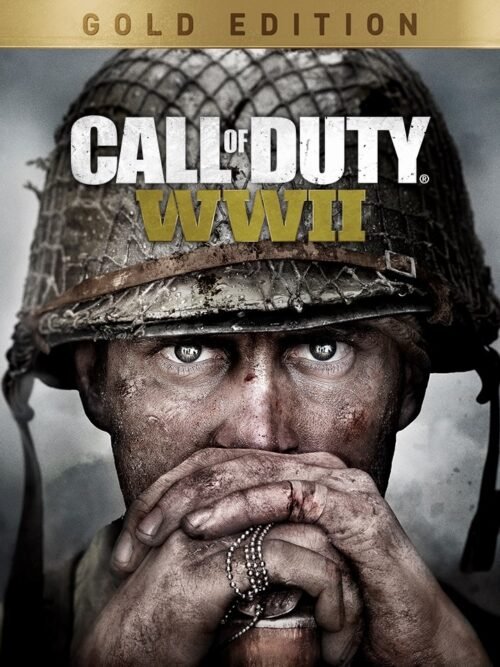 1000002406 CALL OF OF DUTY WWII GOLD (XBOX ONE - XBOX SERIES)